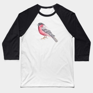 Bird. Bullfinch Baseball T-Shirt